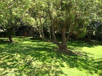 White Horse Bed & Breakfast